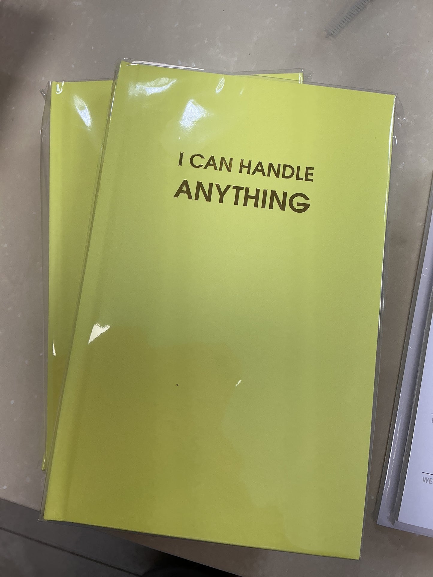 I can handle anything notebook