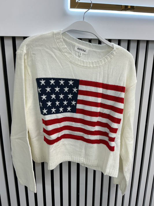 American flag sweater